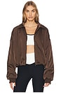 view 1 of 6 BLOUSON CARLOTTA in Chocolate