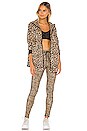 view 5 of 5 BLOUSON LEO ASH in Leopard