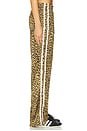 view 3 of 6 PANTALÓN PANTHERA JETSET in Leopard