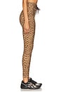 view 3 of 6 Panthera Midi Pant in Leopard