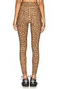 view 4 of 6 Panthera Midi Pant in Leopard
