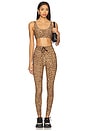 view 5 of 6 Panthera Midi Pant in Leopard