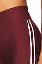 view 7 of 7 Oxford 25in Midi Pant in Merlot