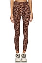 view 1 of 6 Malawi 25in Midi Leggings in Animal
