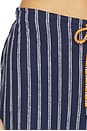 view 6 of 6 Belize Charli Drawstring Pant in Stripe