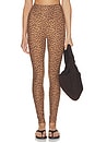 view 1 of 6 Javan 28 Inch High Rise Pant in Leopard