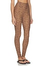 view 2 of 6 Javan 28 Inch High Rise Pant in Leopard