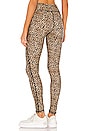 view 3 of 4 Leo Yoga Pant in Leopard
