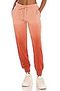 view 1 of 4 Ombre Alena Track Pant in Orange