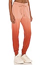 view 2 of 4 Ombre Alena Track Pant in Orange