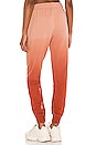 view 3 of 4 Ombre Alena Track Pant in Orange