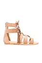 view 1 of 5 Penny Sandals in Tan Suede