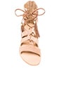 view 4 of 5 Penny Sandals in Tan Suede