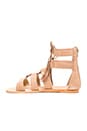 view 5 of 5 Penny Sandals in Tan Suede