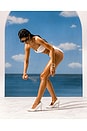 view 5 of 6 Orange Gelee SPF 30 Spray Oil in 