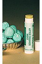 view 2 of 4 Vacation Lip Balm SPF 30 in Dinner Mint