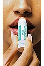 view 3 of 4 Vacation Lip Balm SPF 30 in Dinner Mint