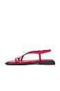 view 5 of 5 SANDALIA IZZY in Bright Red