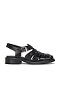 view 1 of 5 Ellis Sandal in Black