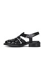 view 5 of 5 Ellis Sandal in Black
