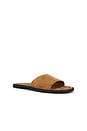 view 2 of 5 Zaida Suede Sandal in Dark Sand