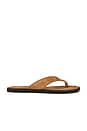 view 1 of 5 Zaida Suede Sandal in Dark Sand