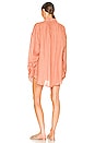 view 3 of 3 Playa Shirt Dress in Desert