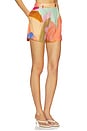 view 2 of 6 The Getaway Short in In Bloom Colorblock
