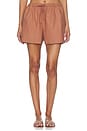 view 2 of 7 Short Parker in Brown
