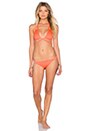 view 4 of 4 Serra Wrap Bikini Top in Guava