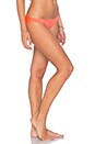 view 2 of 4 Samba Bikini Bottom in Guava