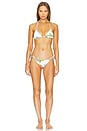 view 4 of 4 Gia Triangle Bikini Top in Summer Bloom