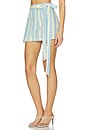 view 3 of 6 Wrap Mini Skirt in Ice Blue Floral & Stripes