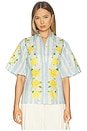 view 2 of 5 Blooming Roses And Stripes Shirt in Ice Blue Floral & Stripes