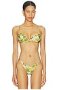 view 1 of 4 BAÑO BIKINI TOP in Positano Magnolias