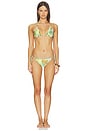 view 4 of 4 MAILLOT DE BAIN BIKINI BOTTOMS in Sage Green Multi Floral