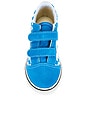 view 4 of 6 SNEAKERS OLD SKOOL V in Color Theory Checkerboard Bright Azure