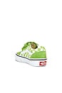 view 3 of 6 ZAPATILLA DEPORTIVA OLD SKOOL V in Color Theory Checkerboard Lime Burst