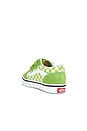 view 3 of 6 ZAPATILLA DEPORTIVA OLD SKOOL V in Color Theory Checkerboard Lime Burst