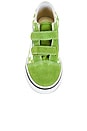 view 4 of 6 ZAPATILLA DEPORTIVA OLD SKOOL V in Color Theory Checkerboard Lime Burst
