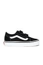 view 1 of 6 SNEAKERS OLD SKOOL V  in Black & True White