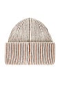 view 3 of 3 Dionne Plated Beanie in Cocoa Dust
