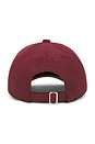 view 3 of 3 Raina Fleece Cap in New Maroon