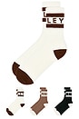 view 2 of 2 Spencer Sock 3 Pack in Egret, Chantrelle & Black