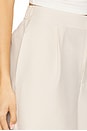 view 6 of 6 Mariya Easy Pleat Short in Birch