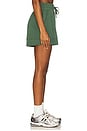 view 3 of 6 ATRIUM 반바지 in Cilantro