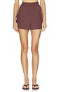 view 1 of 6 Morales Short in Brown Stone