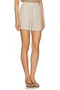 view 2 of 6 Darina Short in Birch Taupe Stripe