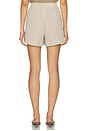 view 4 of 6 Darina Short in Birch Taupe Stripe