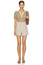 view 5 of 6 Darina Short in Birch Taupe Stripe